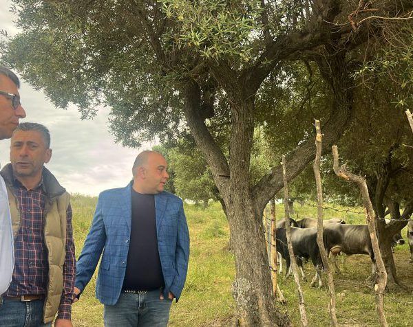 Ad Umbriatico l’8 maggio 2025 con gli allevatori , il Sindaco e le istituzioni di Calabria