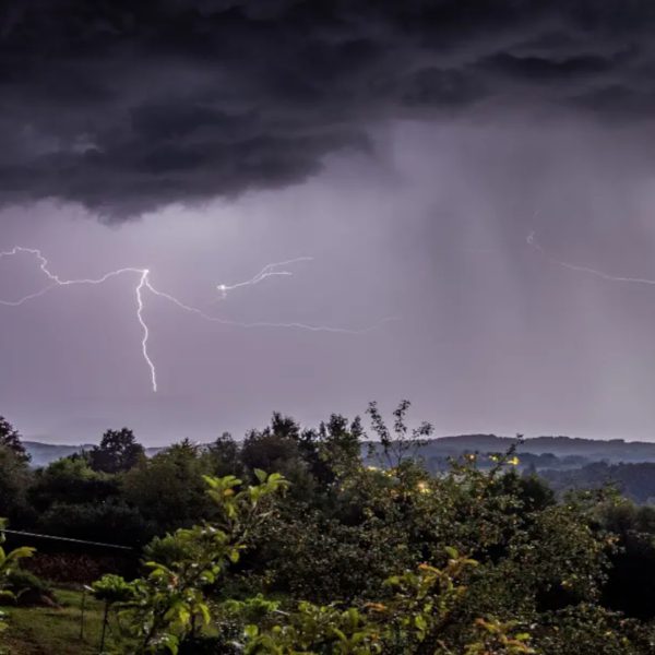 Incontriamo l’Assessore Gallo con i sindaci e gli agricoltori del Reggino colpiti dal maltempo