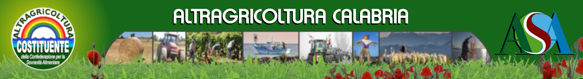 testata_2025_CALABRIA_1903x260